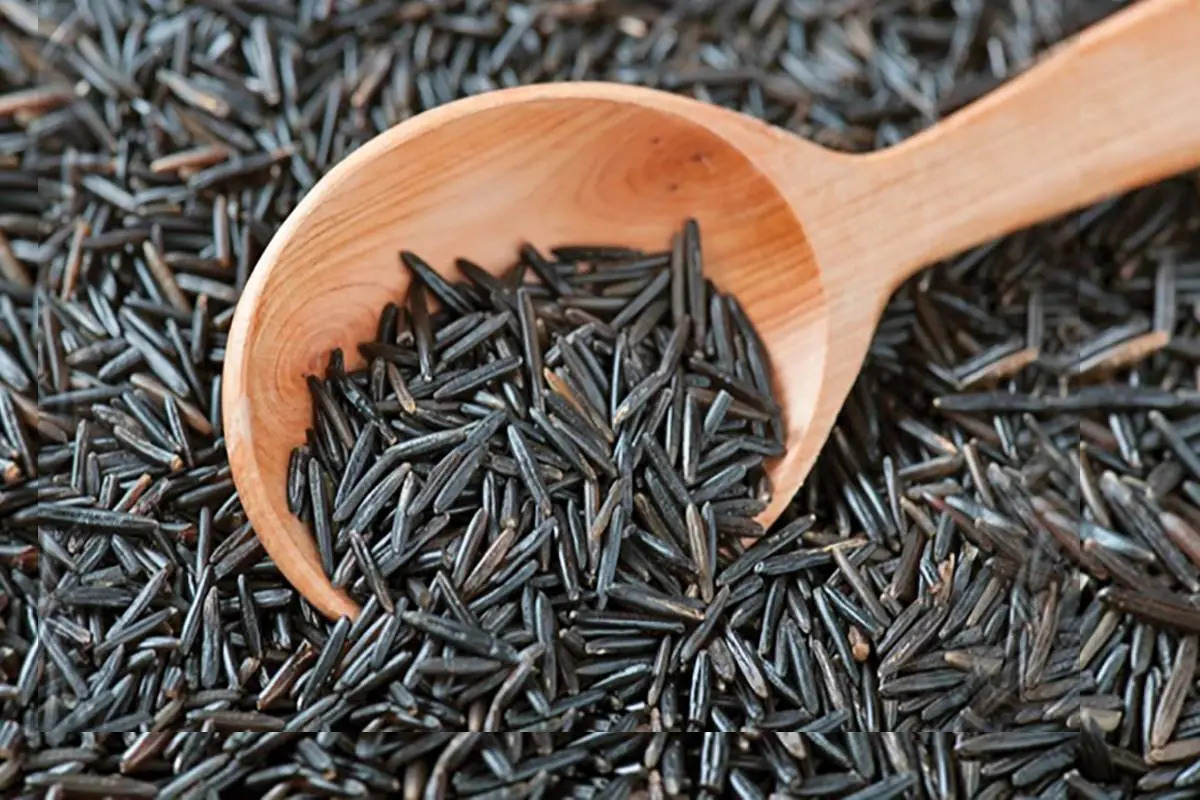 The Health Benefits of Forbidden Black Rice