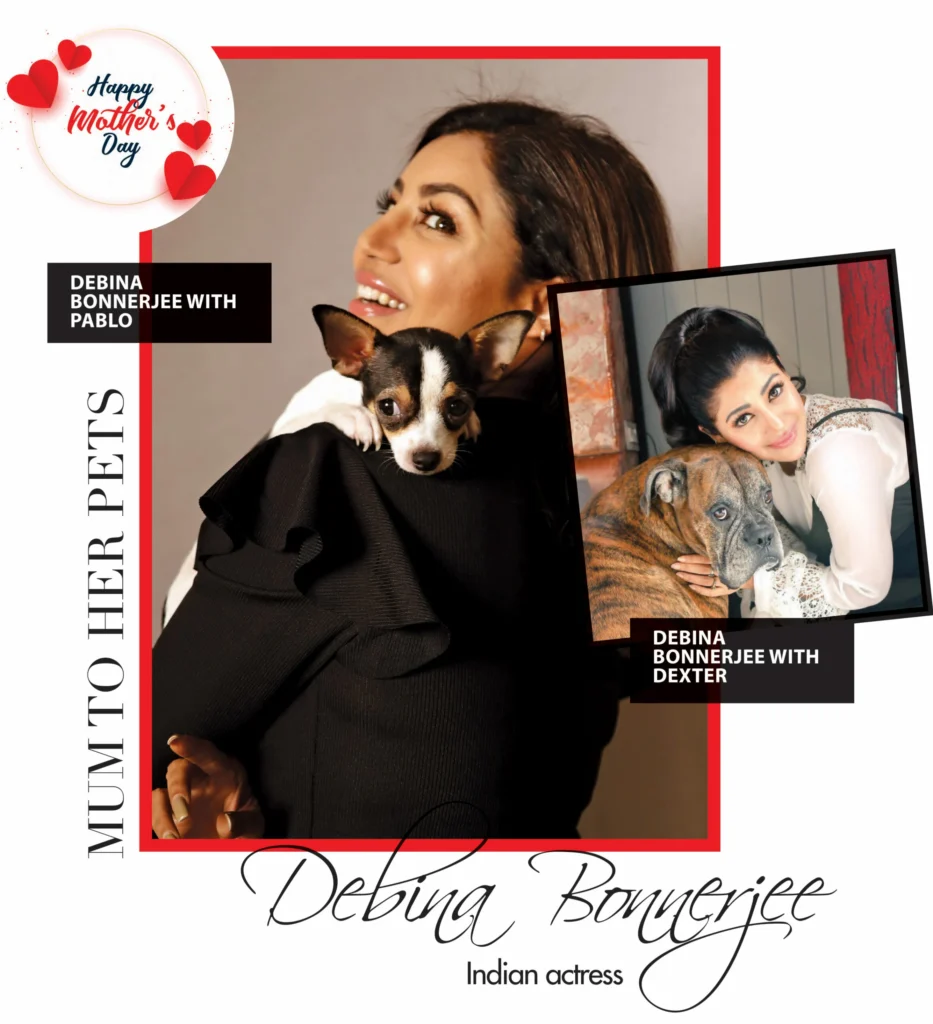 Debina Bonnerjee with Pablo & Dexter